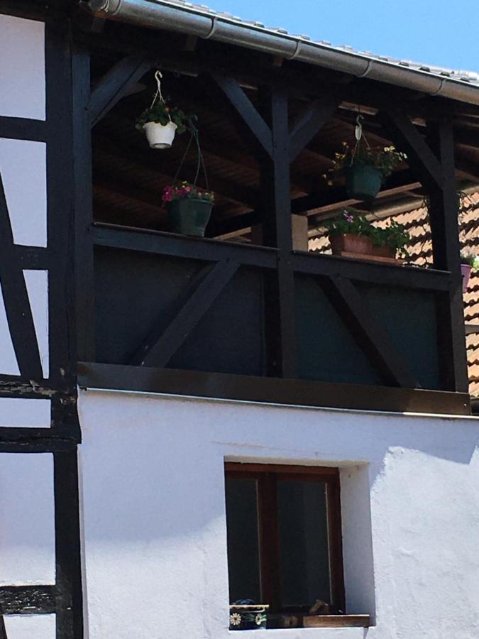 Appartement Bienvenue en Alsace à Huttenheim Extérieur photo