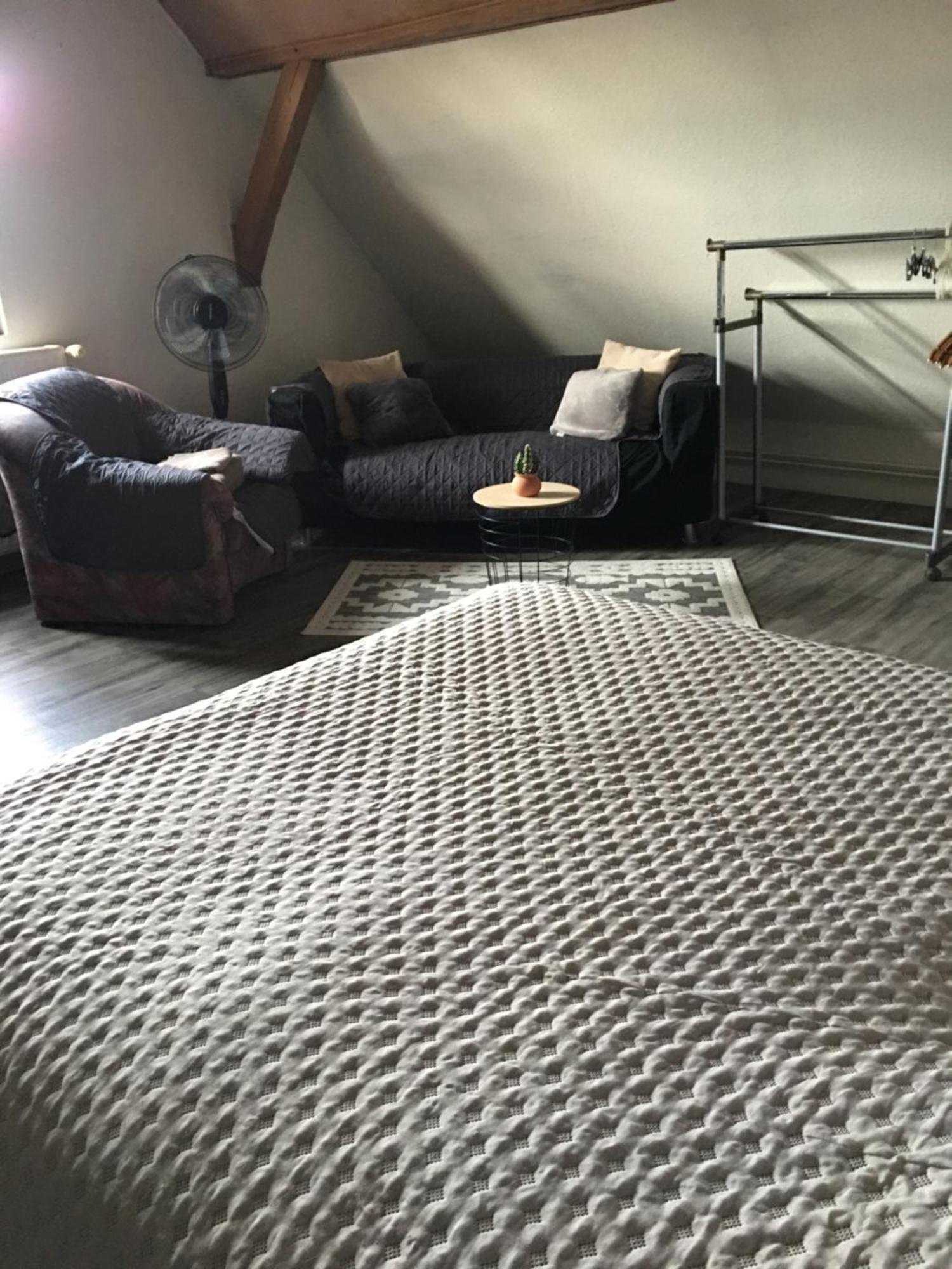 Appartement Bienvenue en Alsace à Huttenheim Extérieur photo
